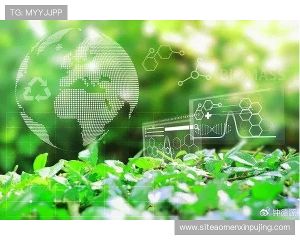 新普京集团:聚焦科技创新与绿色发展,推动区域经济持续繁荣 新普京集团:聚焦科技创新与绿色发展,推动区域经济持续繁荣