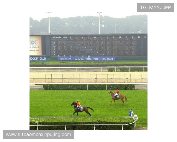 澳门赛马会网站最新资讯与赛事安排全面解析助你掌握赛马动态