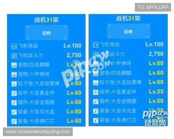 澳门开奖中文站如何利用开奖信息提升投注策略实现更高中奖率