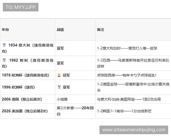 捷克对阵墨西哥比赛场馆详细介绍及比赛场地特色分析